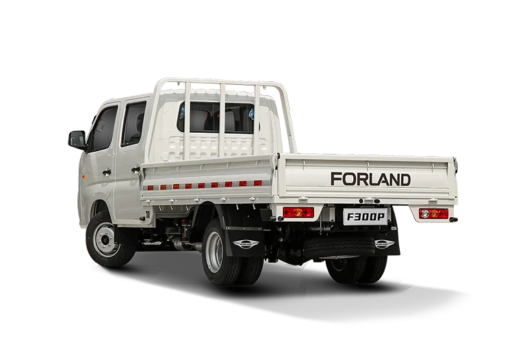 Forland F300