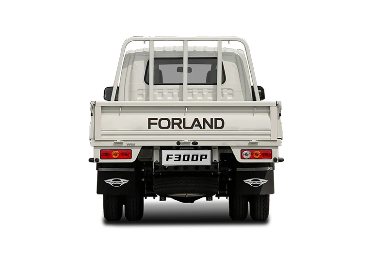 Forland F300